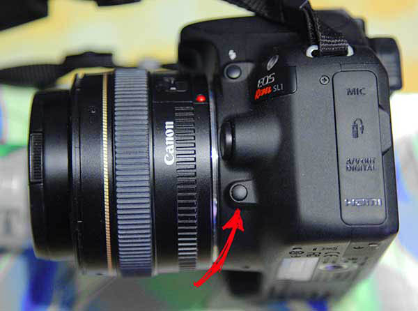 dof button exemple image - Photography Tips 101