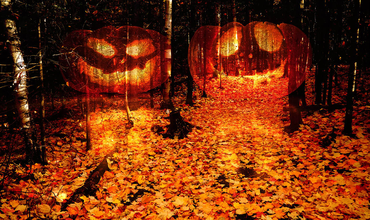 Halloween Scary Wood 2