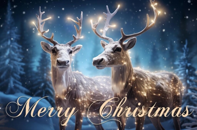 Merry Christmas Illuminated Reindeers