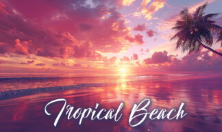 Tropical Beach - Amazing Sunset